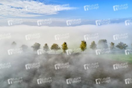 Symbolfoto Nebel