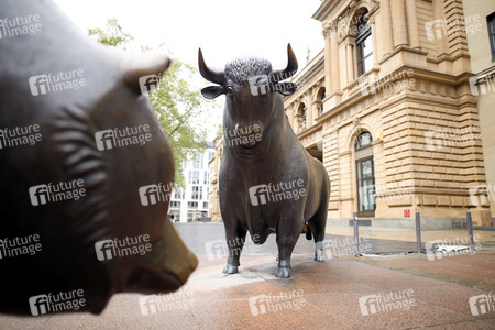 Symbolfoto Bulle und Bär