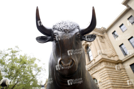 Symbolfoto Bulle und Bär