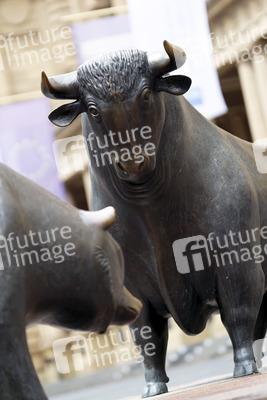 Symbolfoto Bulle und Bär