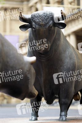 Symbolfoto Bulle und Bär