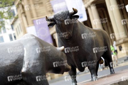 Symbolfoto Bulle und Bär