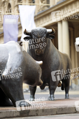 Symbolfoto Bulle und Bär