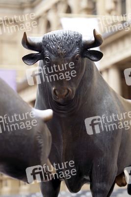 Symbolfoto Bulle und Bär