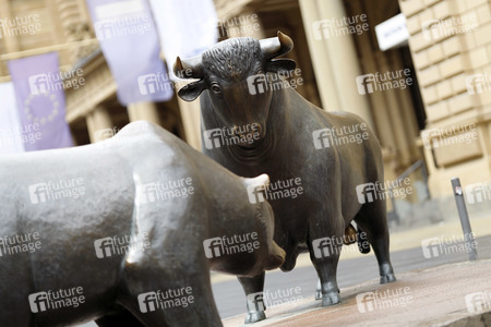 Symbolfoto Bulle und Bär