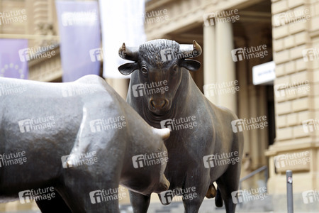 Symbolfoto Bulle und Bär