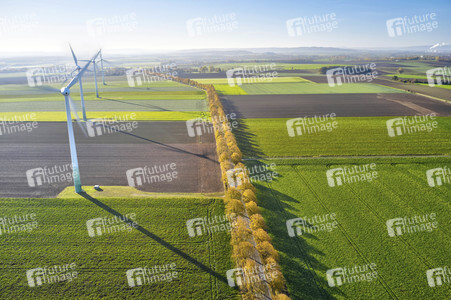 Symbolfoto Goldener Herbst