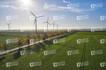 Symbolfoto Goldener Herbst