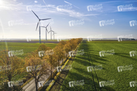 Symbolfoto Goldener Herbst