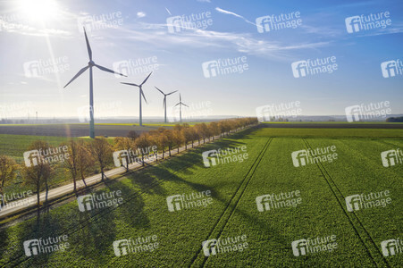 Symbolfoto Goldener Herbst