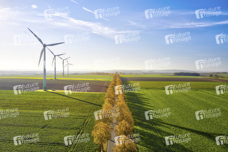 Symbolfoto Goldener Herbst