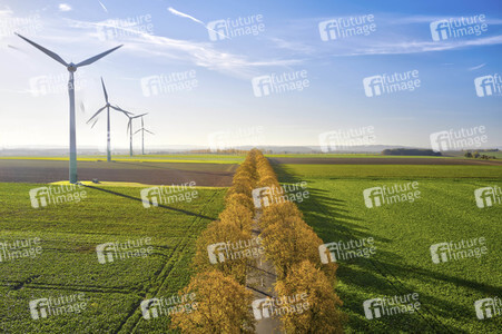 Symbolfoto Goldener Herbst