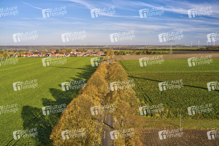 Symbolfoto Goldener Herbst