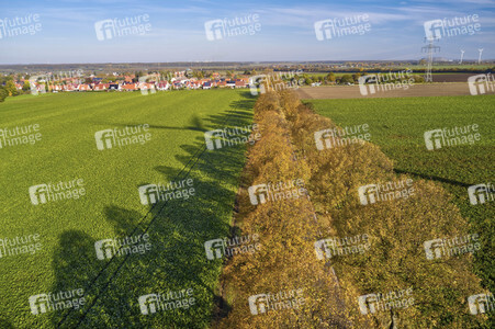 Symbolfoto Goldener Herbst