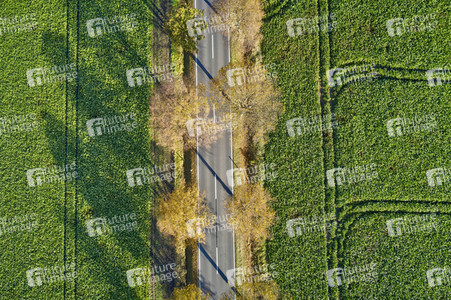 Symbolfoto Goldener Herbst