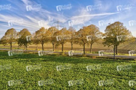 Symbolfoto Goldener Herbst