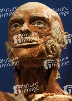 Ausstellung 'Body Worlds - The Rhythm of Life' in Madrid