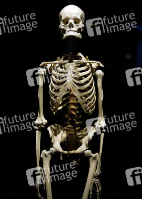 Ausstellung 'Body Worlds - The Rhythm of Life' in Madrid