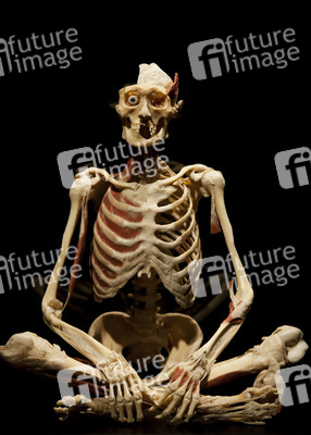 Ausstellung 'Body Worlds - The Rhythm of Life' in Madrid