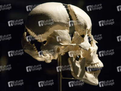 Ausstellung 'Body Worlds - The Rhythm of Life' in Madrid