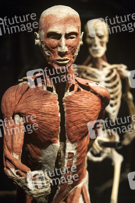 Ausstellung 'Body Worlds - The Rhythm of Life' in Madrid
