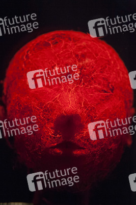 Ausstellung 'Body Worlds - The Rhythm of Life' in Madrid