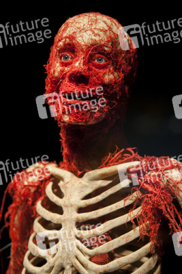 Ausstellung 'Body Worlds - The Rhythm of Life' in Madrid