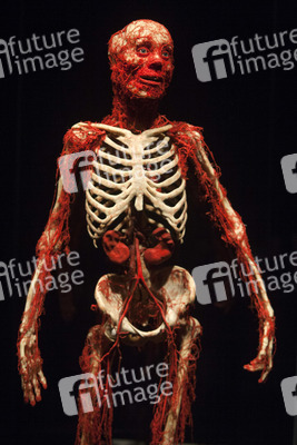 Ausstellung 'Body Worlds - The Rhythm of Life' in Madrid