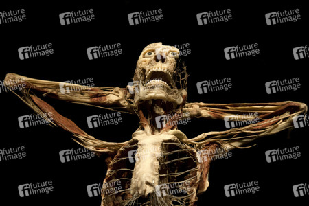 Ausstellung 'Body Worlds - The Rhythm of Life' in Madrid