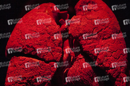 Ausstellung 'Body Worlds - The Rhythm of Life' in Madrid