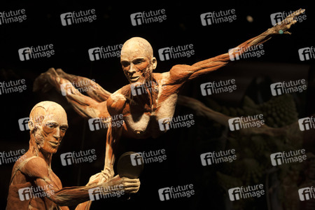 Ausstellung 'Body Worlds - The Rhythm of Life' in Madrid