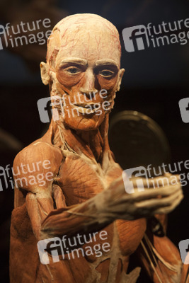 Ausstellung 'Body Worlds - The Rhythm of Life' in Madrid