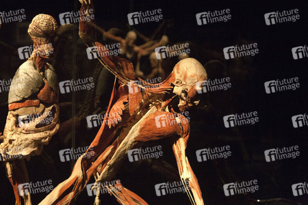 Ausstellung 'Body Worlds - The Rhythm of Life' in Madrid