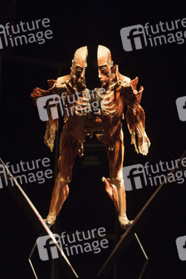 Ausstellung 'Body Worlds - The Rhythm of Life' in Madrid