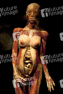 Ausstellung 'Body Worlds - The Rhythm of Life' in Madrid