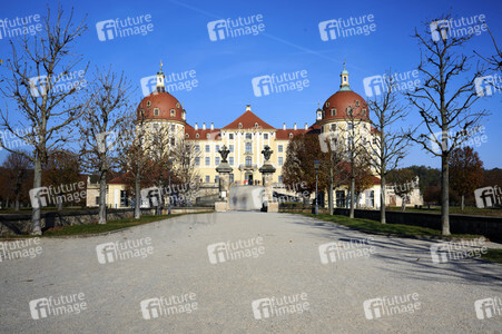 Schloss Moritzburg