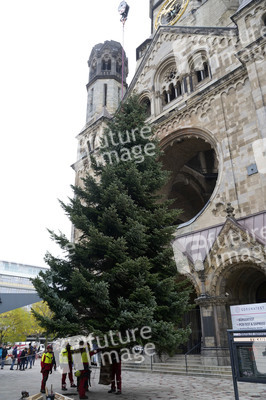 Weihnachtsbaumaufstellung auf dem Breitscheidplatz in Berlin
