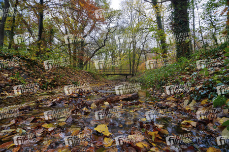 Herbstwald in Hannover