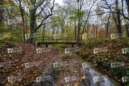 Herbstwald in Hannover