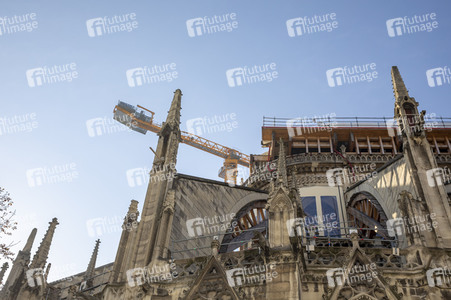 Wiederaufbau der Kathedrale Notre-Dame de Paris