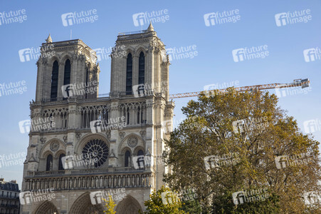 Wiederaufbau der Kathedrale Notre-Dame de Paris