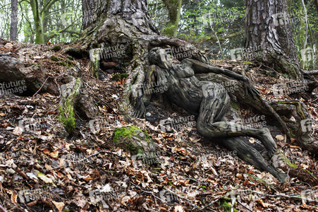 NATURE ART: Bodypainting Herbstimpressionen
