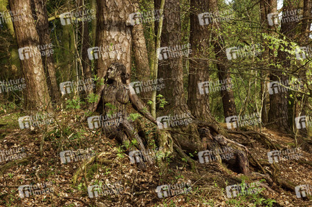 NATURE ART: Bodypainting Herbstimpressionen