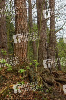NATURE ART: Bodypainting Herbstimpressionen