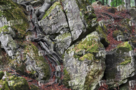 NATURE ART: Bodypainting Herbstimpressionen