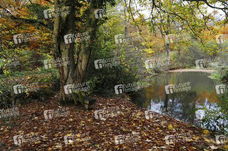 NATURE ART: Bodypainting Herbstimpressionen