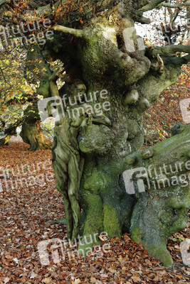 NATURE ART: Bodypainting Herbstimpressionen