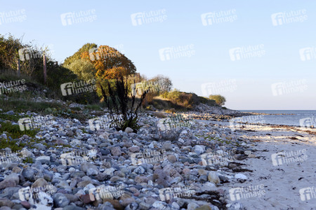 NATURE ART: Bodypainting Herbstimpressionen