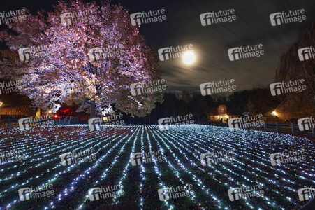 Eröffnung des Christmas Garden 2021 in Hannover