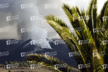 Vulkanausbruch auf La Palma